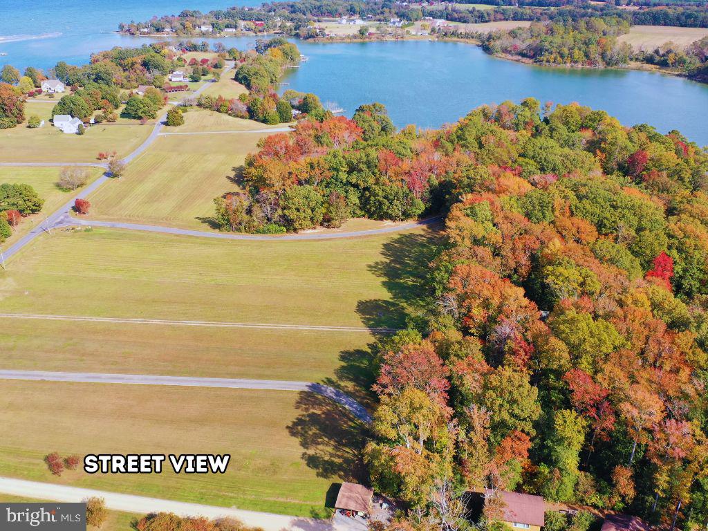 00 FOUNTAIN GATE RD, HEATHSVILLE, Virginia 22473, ,Land,For sale,00 FOUNTAIN GATE RD,VANV2001796 MLS # VANV2001796 00 FOUNTAIN GATE RD, HEATHSVILLE, Virginia 22473, ,Land,For sale,00 FOUNTAIN GATE RD,VANV2001796 MLS # VANV2001796