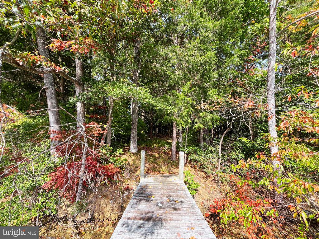 00 FOUNTAIN GATE RD, HEATHSVILLE, Virginia 22473, ,Land,For sale,00 FOUNTAIN GATE RD,VANV2001796 MLS # VANV2001796 00 FOUNTAIN GATE RD, HEATHSVILLE, Virginia 22473, ,Land,For sale,00 FOUNTAIN GATE RD,VANV2001796 MLS # VANV2001796