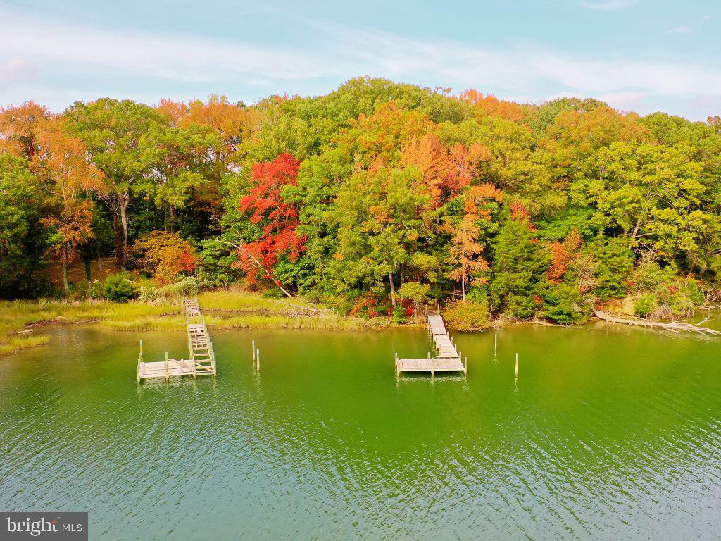 00 FOUNTAIN GATE RD, HEATHSVILLE, Virginia 22473, ,Land,For sale,00 FOUNTAIN GATE RD,VANV2001796 MLS # VANV2001796 00 FOUNTAIN GATE RD, HEATHSVILLE, Virginia 22473, ,Land,For sale,00 FOUNTAIN GATE RD,VANV2001796 MLS # VANV2001796