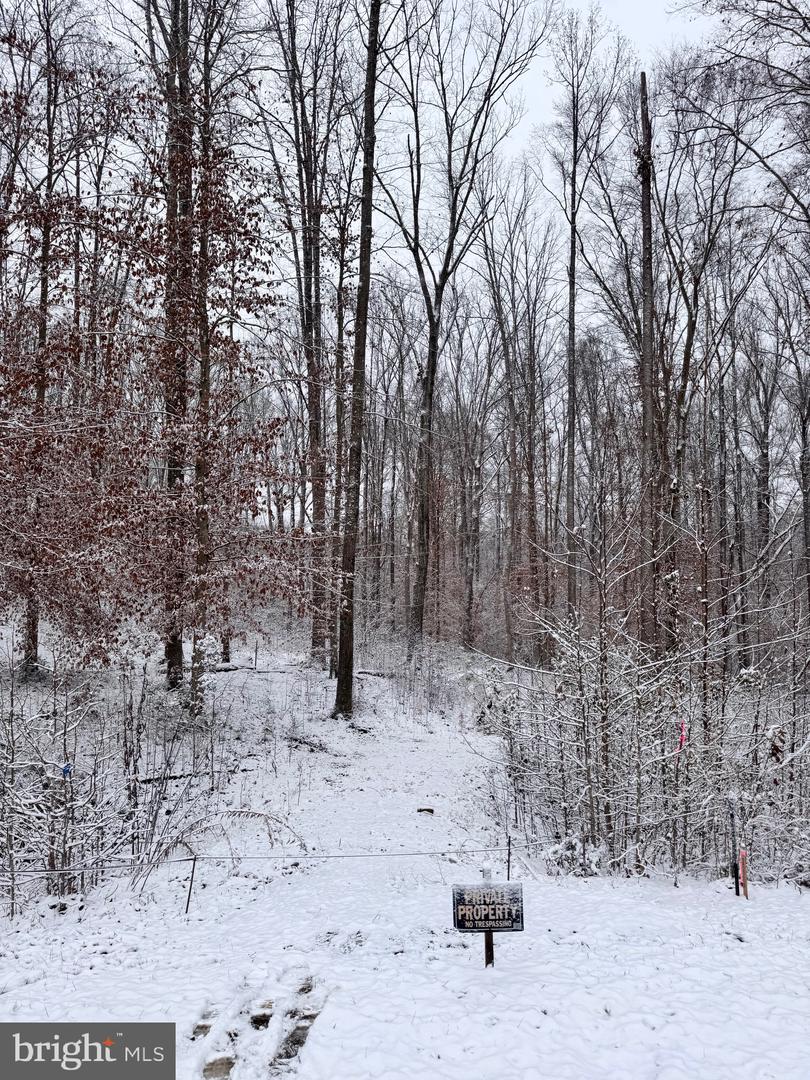 71 ALEXANDRA CIR, BUMPASS, Virginia 23024, ,Land,For sale,71 ALEXANDRA CIR,VALA2009000 MLS # VALA2009000 71 ALEXANDRA CIR, BUMPASS, Virginia 23024, ,Land,For sale,71 ALEXANDRA CIR,VALA2009000 MLS # VALA2009000