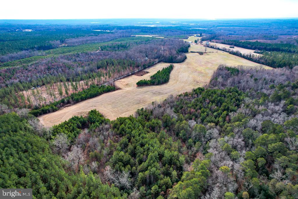 53.778 ACRES KIDDS FORK RD, MILFORD, Virginia 22514, ,Farm,For sale,53.778 ACRES KIDDS FORK RD,VACV2009258 MLS # VACV2009258 53.778 ACRES KIDDS FORK RD, MILFORD, Virginia 22514, ,Farm,For sale,53.778 ACRES KIDDS FORK RD,VACV2009258 MLS # VACV2009258