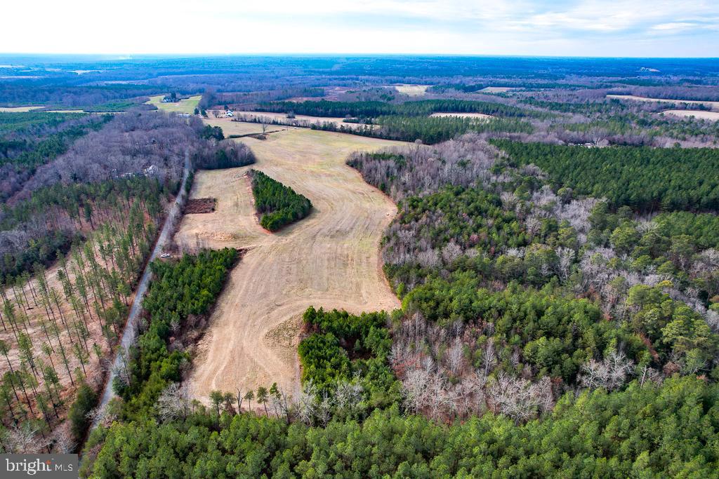 53.778 ACRES KIDDS FORK RD, MILFORD, Virginia 22514, ,Farm,For sale,53.778 ACRES KIDDS FORK RD,VACV2009258 MLS # VACV2009258 53.778 ACRES KIDDS FORK RD, MILFORD, Virginia 22514, ,Farm,For sale,53.778 ACRES KIDDS FORK RD,VACV2009258 MLS # VACV2009258
