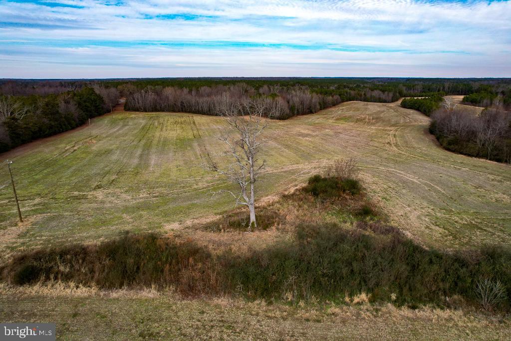 53.778 ACRES KIDDS FORK RD, MILFORD, Virginia 22514, ,Farm,For sale,53.778 ACRES KIDDS FORK RD,VACV2009258 MLS # VACV2009258 53.778 ACRES KIDDS FORK RD, MILFORD, Virginia 22514, ,Farm,For sale,53.778 ACRES KIDDS FORK RD,VACV2009258 MLS # VACV2009258