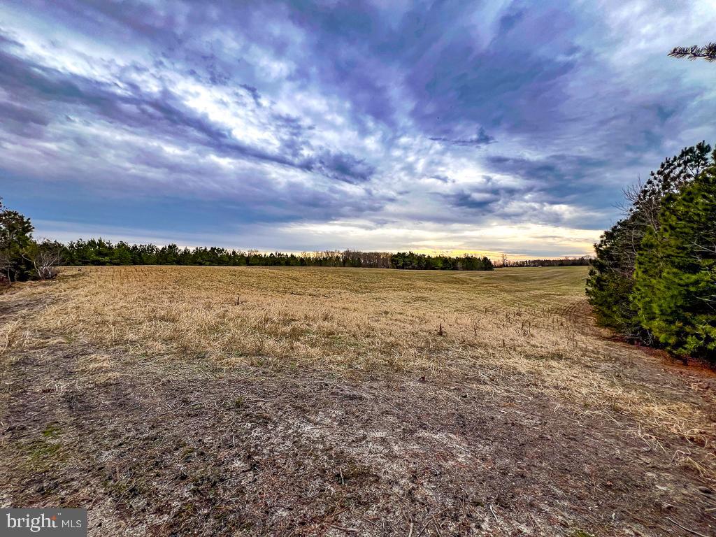 53.778 ACRES KIDDS FORK RD, MILFORD, Virginia 22514, ,Farm,For sale,53.778 ACRES KIDDS FORK RD,VACV2009258 MLS # VACV2009258 53.778 ACRES KIDDS FORK RD, MILFORD, Virginia 22514, ,Farm,For sale,53.778 ACRES KIDDS FORK RD,VACV2009258 MLS # VACV2009258