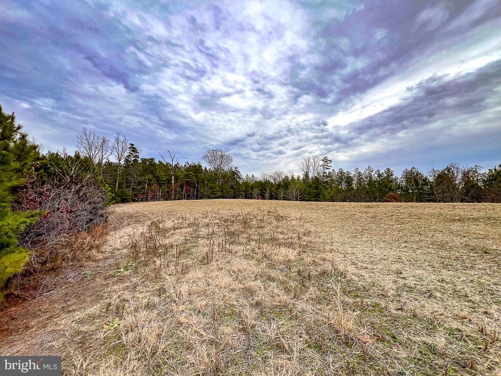 53.778 ACRES KIDDS FORK RD, MILFORD, Virginia 22514, ,Farm,For sale,53.778 ACRES KIDDS FORK RD,VACV2009258 MLS # VACV2009258 53.778 ACRES KIDDS FORK RD, MILFORD, Virginia 22514, ,Farm,For sale,53.778 ACRES KIDDS FORK RD,VACV2009258 MLS # VACV2009258