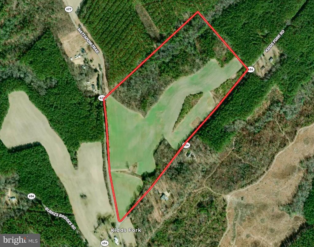 53.778 ACRES KIDDS FORK RD, MILFORD, Virginia 22514, ,Farm,For sale,53.778 ACRES KIDDS FORK RD,VACV2009258 MLS # VACV2009258 53.778 ACRES KIDDS FORK RD, MILFORD, Virginia 22514, ,Farm,For sale,53.778 ACRES KIDDS FORK RD,VACV2009258 MLS # VACV2009258