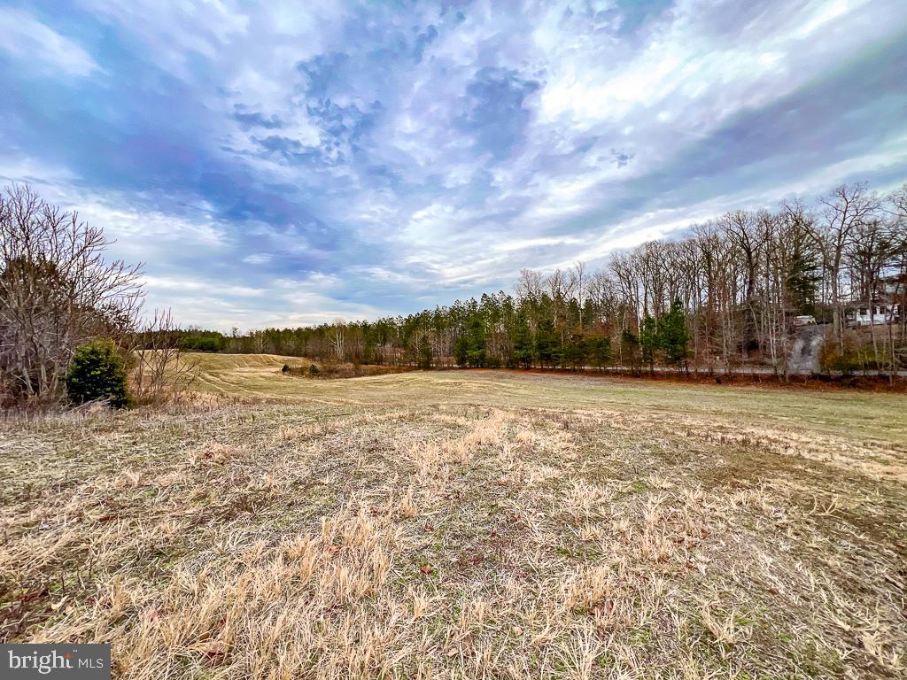 53.778 ACRES KIDDS FORK RD, MILFORD, Virginia 22514, ,Farm,For sale,53.778 ACRES KIDDS FORK RD,VACV2009258 MLS # VACV2009258 53.778 ACRES KIDDS FORK RD, MILFORD, Virginia 22514, ,Farm,For sale,53.778 ACRES KIDDS FORK RD,VACV2009258 MLS # VACV2009258