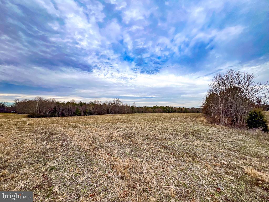 53.778 ACRES KIDDS FORK RD, MILFORD, Virginia 22514, ,Farm,For sale,53.778 ACRES KIDDS FORK RD,VACV2009258 MLS # VACV2009258 53.778 ACRES KIDDS FORK RD, MILFORD, Virginia 22514, ,Farm,For sale,53.778 ACRES KIDDS FORK RD,VACV2009258 MLS # VACV2009258