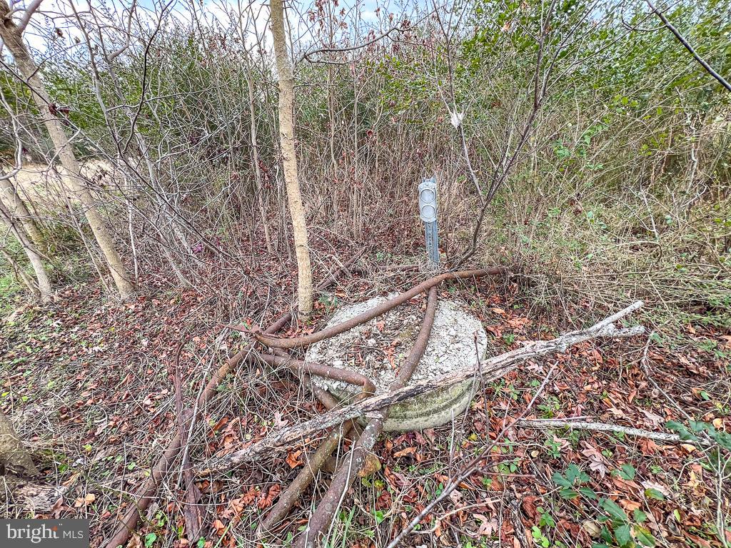 53.778 ACRES KIDDS FORK RD, MILFORD, Virginia 22514, ,Farm,For sale,53.778 ACRES KIDDS FORK RD,VACV2009258 MLS # VACV2009258 53.778 ACRES KIDDS FORK RD, MILFORD, Virginia 22514, ,Farm,For sale,53.778 ACRES KIDDS FORK RD,VACV2009258 MLS # VACV2009258