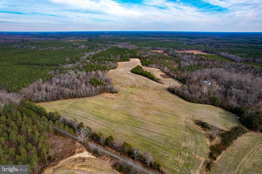 53.778 ACRES KIDDS FORK RD, MILFORD, Virginia 22514, ,Farm,For sale,53.778 ACRES KIDDS FORK RD,VACV2009258 MLS # VACV2009258 53.778 ACRES KIDDS FORK RD, MILFORD, Virginia 22514, ,Farm,For sale,53.778 ACRES KIDDS FORK RD,VACV2009258 MLS # VACV2009258
