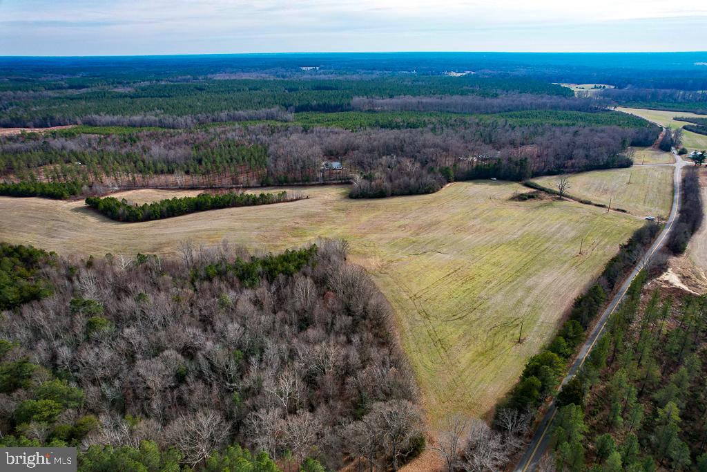 53.778 ACRES KIDDS FORK RD, MILFORD, Virginia 22514, ,Farm,For sale,53.778 ACRES KIDDS FORK RD,VACV2009258 MLS # VACV2009258 53.778 ACRES KIDDS FORK RD, MILFORD, Virginia 22514, ,Farm,For sale,53.778 ACRES KIDDS FORK RD,VACV2009258 MLS # VACV2009258