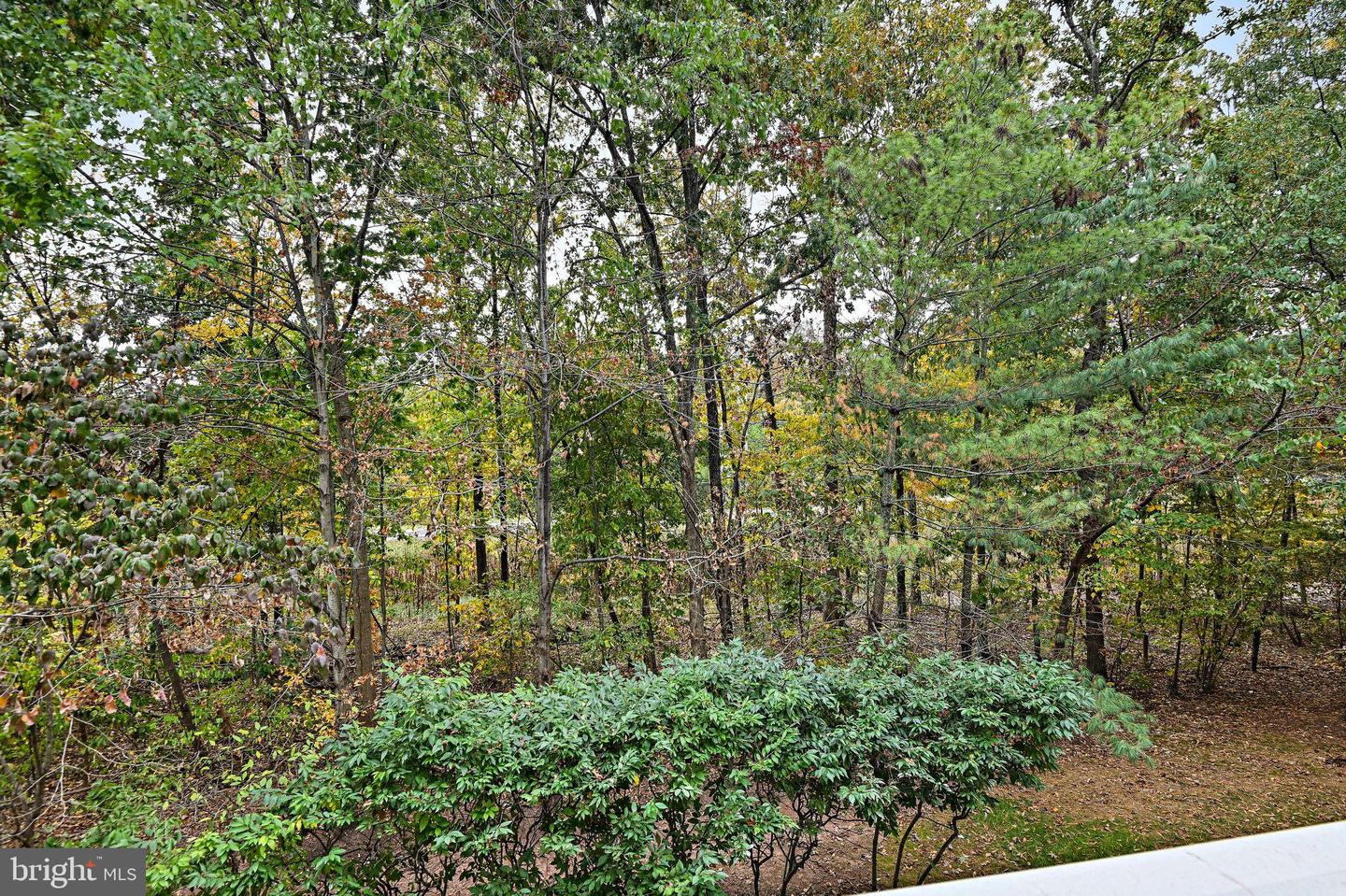 20385 BELMONT PARK TER #103, ASHBURN, Virginia 20147, 2 Bedrooms Bedrooms, ,2 BathroomsBathrooms,Residential,For sale,20385 BELMONT PARK TER #103,VALO2109130 MLS # VALO2109130 20385 BELMONT PARK TER #103, ASHBURN, Virginia 20147, 2 Bedrooms Bedrooms, ,2 BathroomsBathrooms,Residential,For sale,20385 BELMONT PARK TER #103,VALO2109130 MLS # VALO2109130