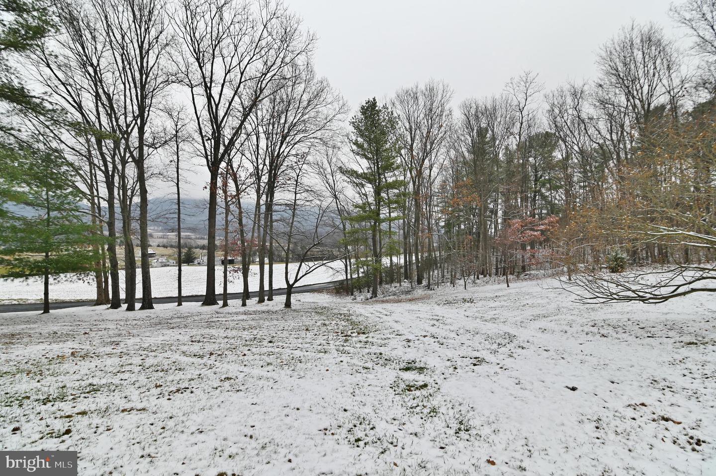 2148 ALONZAVILLE RD, WOODSTOCK, Virginia 22664, 4 Bedrooms Bedrooms, ,2 BathroomsBathrooms,Residential,For sale,2148 ALONZAVILLE RD,VASH2013164 MLS # VASH2013164 2148 ALONZAVILLE RD, WOODSTOCK, Virginia 22664, 4 Bedrooms Bedrooms, ,2 BathroomsBathrooms,Residential,For sale,2148 ALONZAVILLE RD,VASH2013164 MLS # VASH2013164