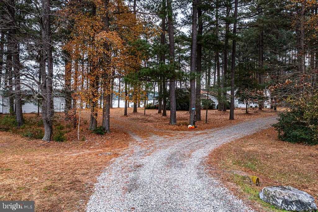 405 COURTNEY LN, CALLAO, Virginia 22435, 4 Bedrooms Bedrooms, ,4 BathroomsBathrooms,Residential,For sale,405 COURTNEY LN,VANV2001828 MLS # VANV2001828 405 COURTNEY LN, CALLAO, Virginia 22435, 4 Bedrooms Bedrooms, ,4 BathroomsBathrooms,Residential,For sale,405 COURTNEY LN,VANV2001828 MLS # VANV2001828