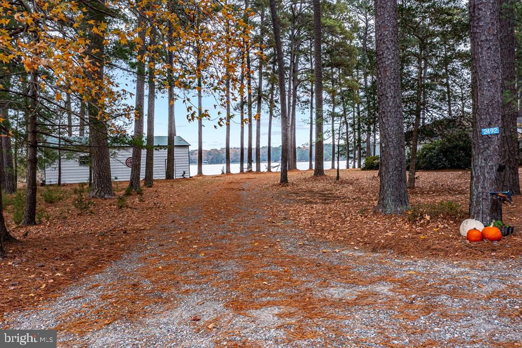 405 COURTNEY LN, CALLAO, Virginia 22435, 4 Bedrooms Bedrooms, ,4 BathroomsBathrooms,Residential,For sale,405 COURTNEY LN,VANV2001828 MLS # VANV2001828 405 COURTNEY LN, CALLAO, Virginia 22435, 4 Bedrooms Bedrooms, ,4 BathroomsBathrooms,Residential,For sale,405 COURTNEY LN,VANV2001828 MLS # VANV2001828