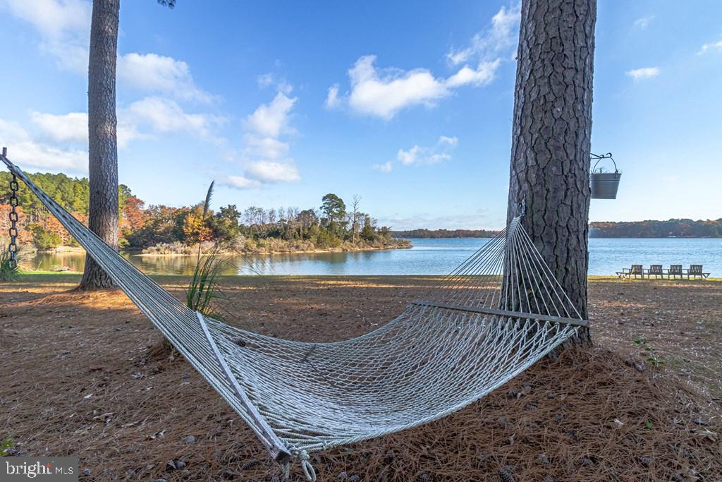 405 COURTNEY LN, CALLAO, Virginia 22435, 4 Bedrooms Bedrooms, ,4 BathroomsBathrooms,Residential,For sale,405 COURTNEY LN,VANV2001828 MLS # VANV2001828 405 COURTNEY LN, CALLAO, Virginia 22435, 4 Bedrooms Bedrooms, ,4 BathroomsBathrooms,Residential,For sale,405 COURTNEY LN,VANV2001828 MLS # VANV2001828