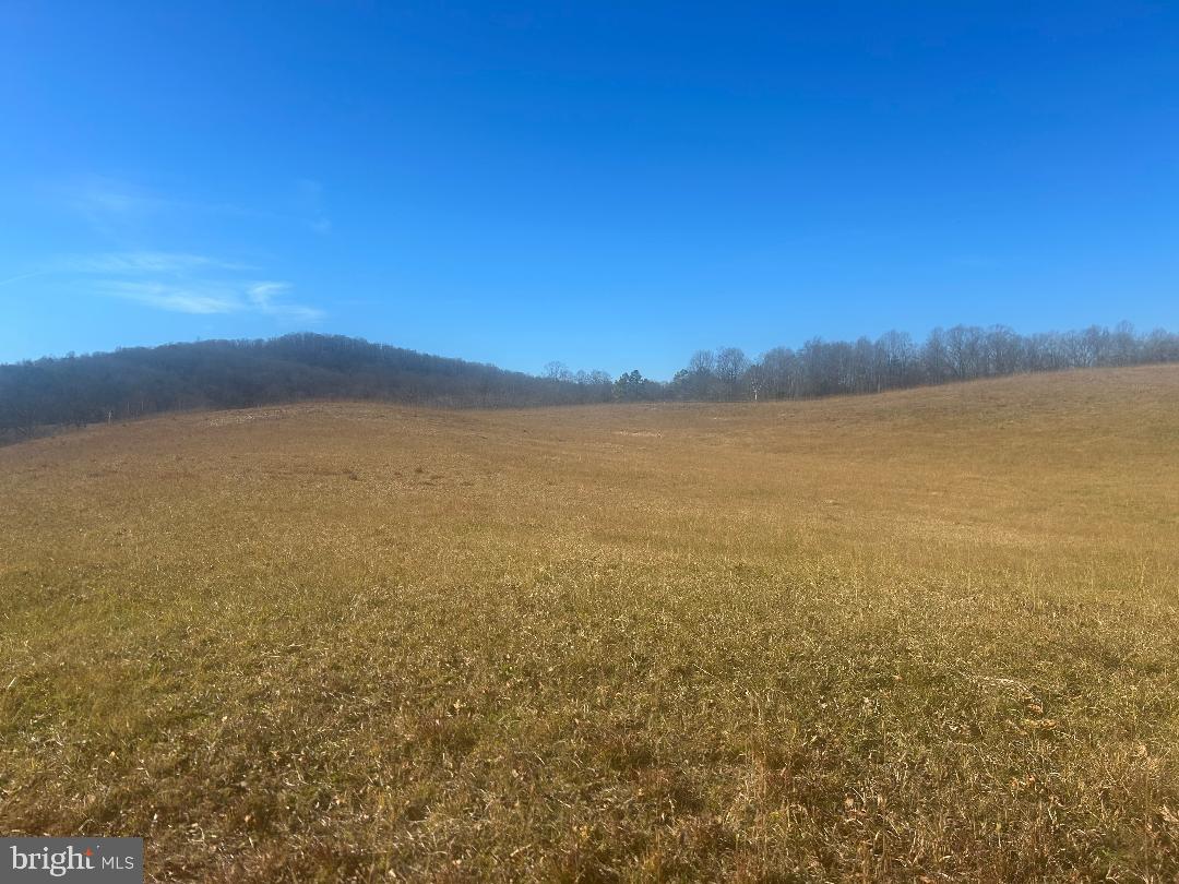 342 POES S, AMISSVILLE, Virginia 20106, 1 Bedroom Bedrooms, ,1 BathroomBathrooms,Residential,For sale,342 POES S,VARP2002428 MLS # VARP2002428 342 POES S, AMISSVILLE, Virginia 20106, 1 Bedroom Bedrooms, ,1 BathroomBathrooms,Residential,For sale,342 POES S,VARP2002428 MLS # VARP2002428