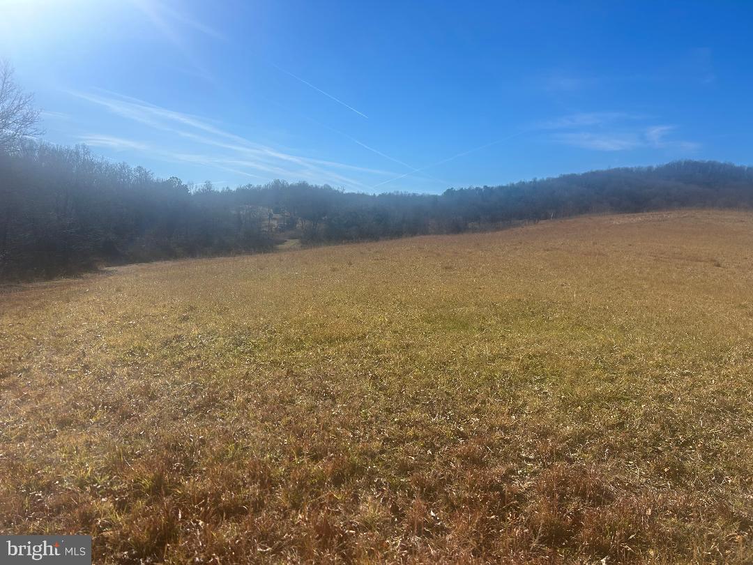 342 POES S, AMISSVILLE, Virginia 20106, 1 Bedroom Bedrooms, ,1 BathroomBathrooms,Residential,For sale,342 POES S,VARP2002428 MLS # VARP2002428 342 POES S, AMISSVILLE, Virginia 20106, 1 Bedroom Bedrooms, ,1 BathroomBathrooms,Residential,For sale,342 POES S,VARP2002428 MLS # VARP2002428