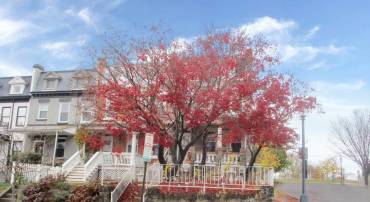 118 V ST NE, WASHINGTON, District Of Columbia 20002, 4 Bedrooms Bedrooms, ,2 BathroomsBathrooms,Residential,For sale,118 V ST NE,DCDC2234396 MLS # DCDC2234396