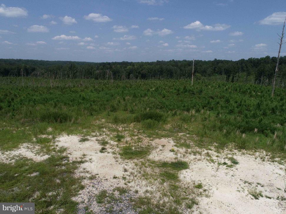 BREMO ROAD (TRACT: JR BARNES DILLION), BREMO BLUFF, Virginia 23022, ,Farm,For sale,BREMO ROAD (TRACT: JR BARNES DILLION),VAFN2000568 MLS # VAFN2000568 BREMO ROAD (TRACT: JR BARNES DILLION), BREMO BLUFF, Virginia 23022, ,Farm,For sale,BREMO ROAD (TRACT: JR BARNES DILLION),VAFN2000568 MLS # VAFN2000568