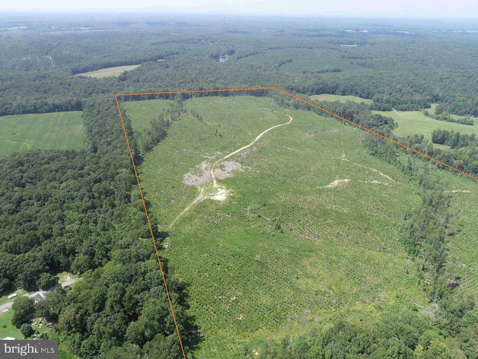 BREMO ROAD (TRACT: JR BARNES DILLION), BREMO BLUFF, Virginia 23022, ,Farm,For sale,BREMO ROAD (TRACT: JR BARNES DILLION),VAFN2000568 MLS # VAFN2000568 BREMO ROAD (TRACT: JR BARNES DILLION), BREMO BLUFF, Virginia 23022, ,Farm,For sale,BREMO ROAD (TRACT: JR BARNES DILLION),VAFN2000568 MLS # VAFN2000568