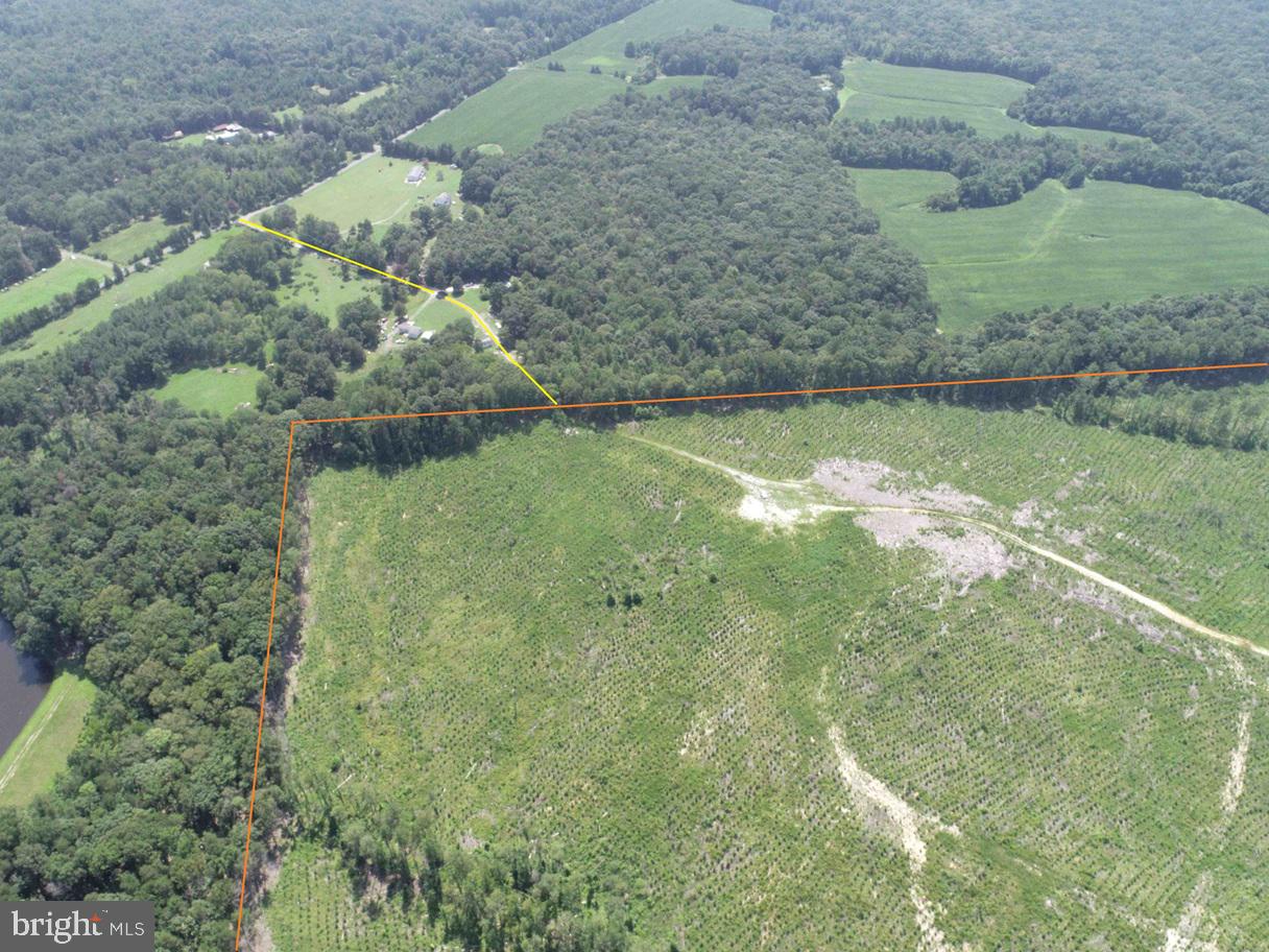 BREMO ROAD (TRACT: JR BARNES DILLION), BREMO BLUFF, Virginia 23022, ,Farm,For sale,BREMO ROAD (TRACT: JR BARNES DILLION),VAFN2000568 MLS # VAFN2000568 BREMO ROAD (TRACT: JR BARNES DILLION), BREMO BLUFF, Virginia 23022, ,Farm,For sale,BREMO ROAD (TRACT: JR BARNES DILLION),VAFN2000568 MLS # VAFN2000568