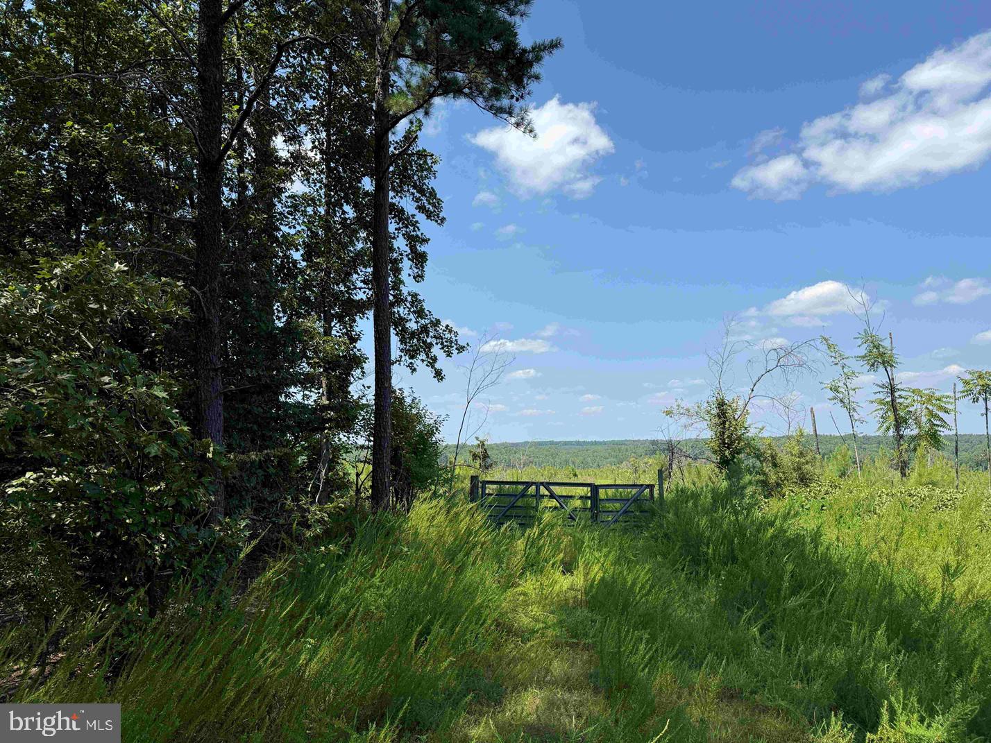 BREMO ROAD (TRACT: JR BARNES DILLION), BREMO BLUFF, Virginia 23022, ,Farm,For sale,BREMO ROAD (TRACT: JR BARNES DILLION),VAFN2000568 MLS # VAFN2000568 BREMO ROAD (TRACT: JR BARNES DILLION), BREMO BLUFF, Virginia 23022, ,Farm,For sale,BREMO ROAD (TRACT: JR BARNES DILLION),VAFN2000568 MLS # VAFN2000568