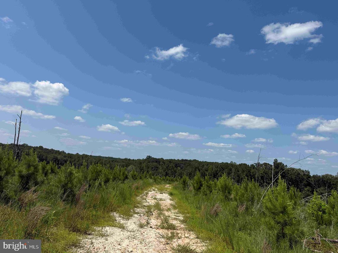 BREMO ROAD (TRACT: JR BARNES DILLION), BREMO BLUFF, Virginia 23022, ,Farm,For sale,BREMO ROAD (TRACT: JR BARNES DILLION),VAFN2000568 MLS # VAFN2000568 BREMO ROAD (TRACT: JR BARNES DILLION), BREMO BLUFF, Virginia 23022, ,Farm,For sale,BREMO ROAD (TRACT: JR BARNES DILLION),VAFN2000568 MLS # VAFN2000568