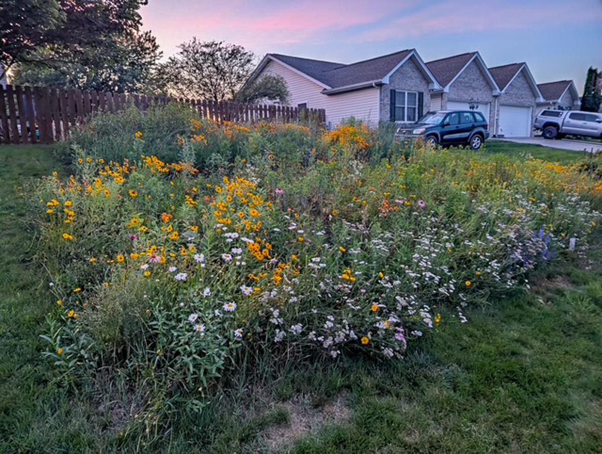 361 DORSET ST, BROADWAY, Virginia 22815, 3 Bedrooms Bedrooms, ,2 BathroomsBathrooms,Residential,361 DORSET ST,671740 MLS # 671740 361 DORSET ST, BROADWAY, Virginia 22815, 3 Bedrooms Bedrooms, ,2 BathroomsBathrooms,Residential,361 DORSET ST,671740 MLS # 671740