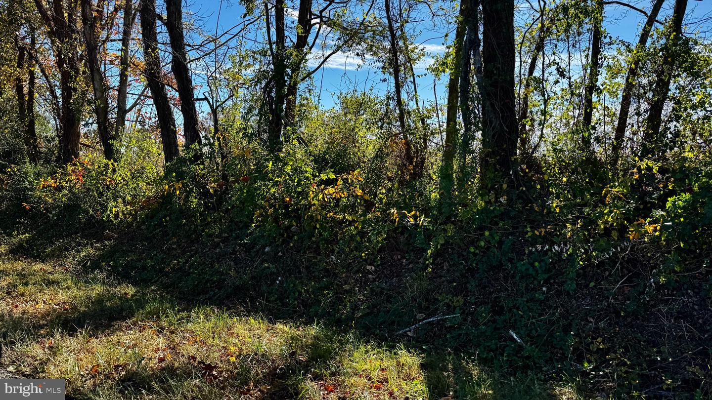 ZACATA RD, MONTROSS, Virginia 22520, ,Land,For sale,ZACATA RD,VAWE2007750 MLS # VAWE2007750 ZACATA RD, MONTROSS, Virginia 22520, ,Land,For sale,ZACATA RD,VAWE2007750 MLS # VAWE2007750