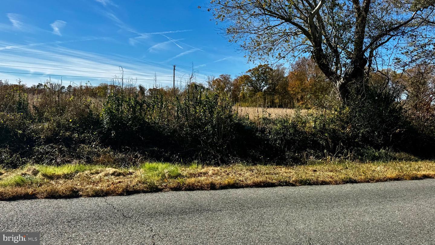 ZACATA RD, MONTROSS, Virginia 22520, ,Land,For sale,ZACATA RD,VAWE2007750 MLS # VAWE2007750 ZACATA RD, MONTROSS, Virginia 22520, ,Land,For sale,ZACATA RD,VAWE2007750 MLS # VAWE2007750