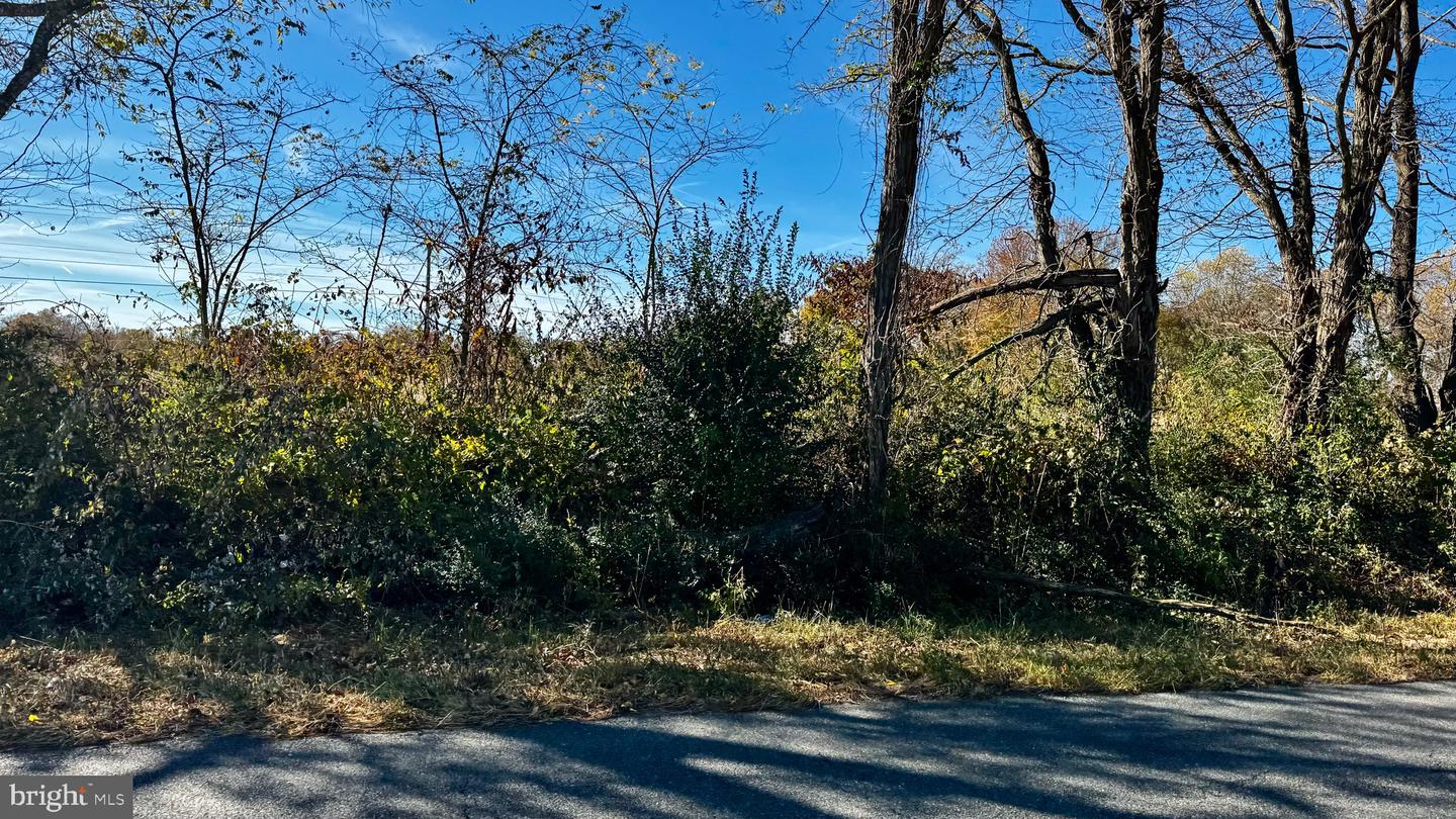 ZACATA RD, MONTROSS, Virginia 22520, ,Land,For sale,ZACATA RD,VAWE2007750 MLS # VAWE2007750 ZACATA RD, MONTROSS, Virginia 22520, ,Land,For sale,ZACATA RD,VAWE2007750 MLS # VAWE2007750