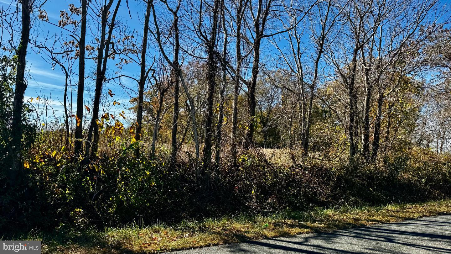 ZACATA RD, MONTROSS, Virginia 22520, ,Land,For sale,ZACATA RD,VAWE2007750 MLS # VAWE2007750 ZACATA RD, MONTROSS, Virginia 22520, ,Land,For sale,ZACATA RD,VAWE2007750 MLS # VAWE2007750