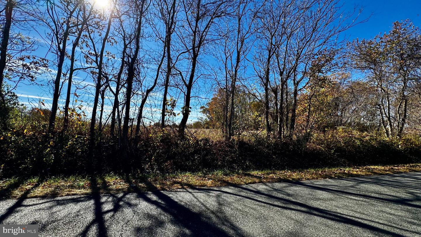 ZACATA RD, MONTROSS, Virginia 22520, ,Land,For sale,ZACATA RD,VAWE2007750 MLS # VAWE2007750 ZACATA RD, MONTROSS, Virginia 22520, ,Land,For sale,ZACATA RD,VAWE2007750 MLS # VAWE2007750