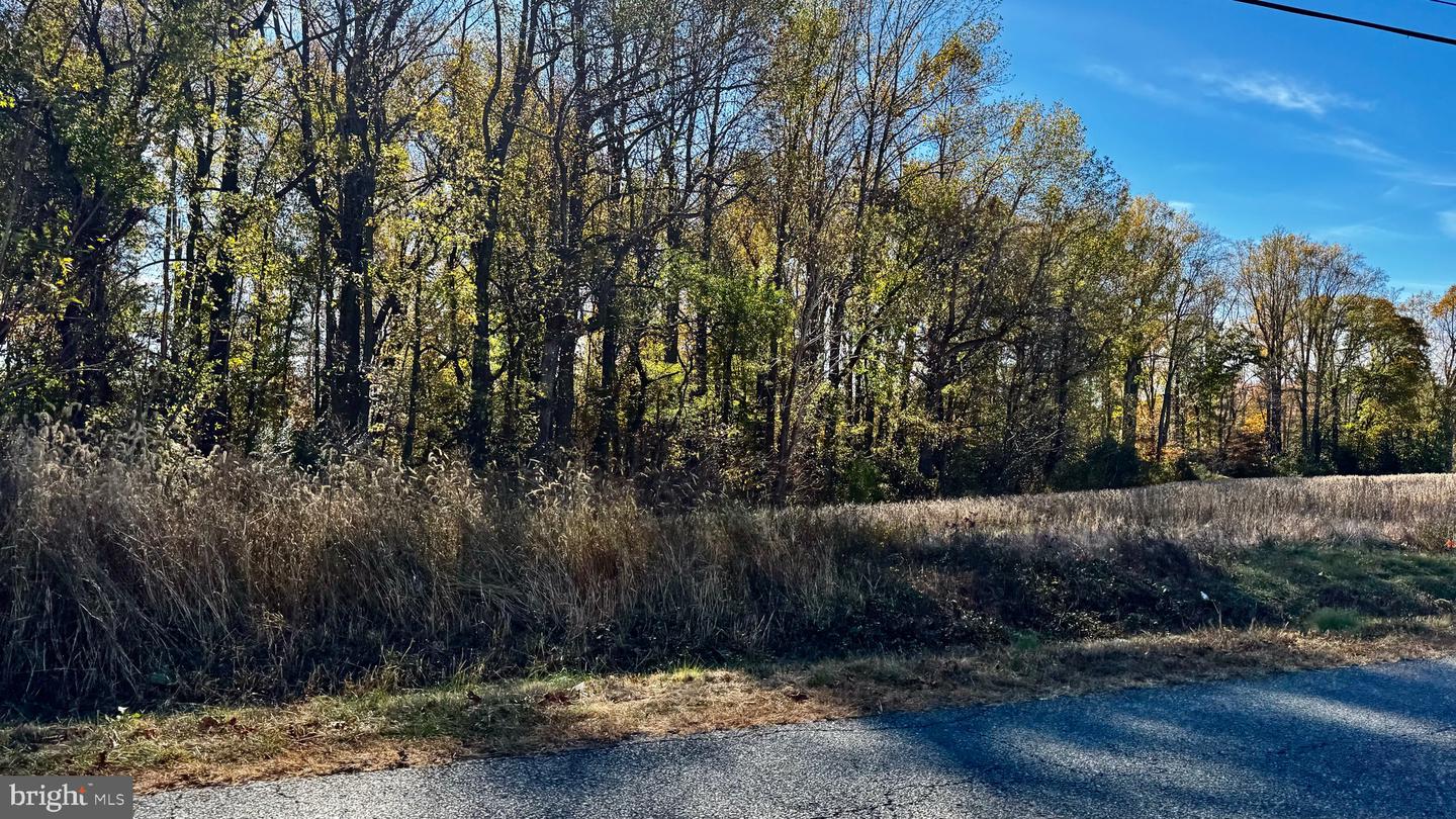 ZACATA RD, MONTROSS, Virginia 22520, ,Land,For sale,ZACATA RD,VAWE2007750 MLS # VAWE2007750 ZACATA RD, MONTROSS, Virginia 22520, ,Land,For sale,ZACATA RD,VAWE2007750 MLS # VAWE2007750