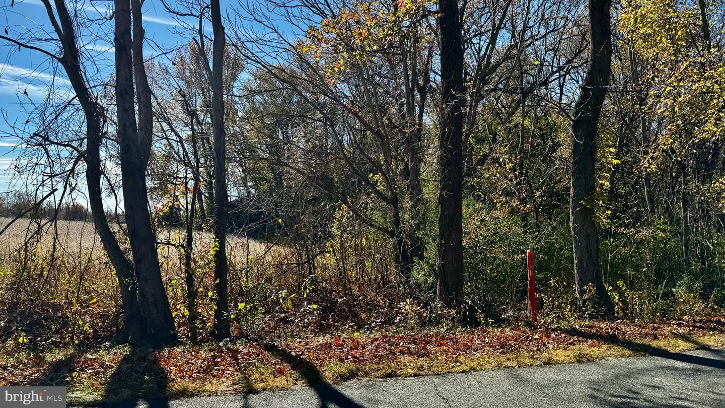 ZACATA RD, MONTROSS, Virginia 22520, ,Land,For sale,ZACATA RD,VAWE2007750 MLS # VAWE2007750 ZACATA RD, MONTROSS, Virginia 22520, ,Land,For sale,ZACATA RD,VAWE2007750 MLS # VAWE2007750