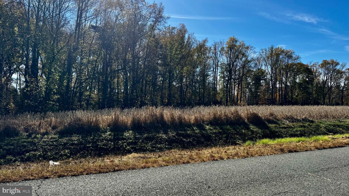 ZACATA RD, MONTROSS, Virginia 22520, ,Land,For sale,ZACATA RD,VAWE2007750 MLS # VAWE2007750 ZACATA RD, MONTROSS, Virginia 22520, ,Land,For sale,ZACATA RD,VAWE2007750 MLS # VAWE2007750