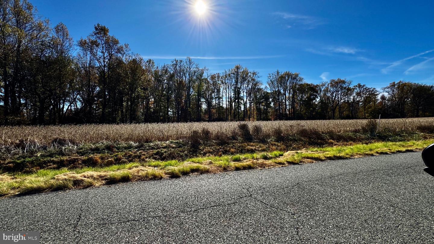 ZACATA RD, MONTROSS, Virginia 22520, ,Land,For sale,ZACATA RD,VAWE2007750 MLS # VAWE2007750 ZACATA RD, MONTROSS, Virginia 22520, ,Land,For sale,ZACATA RD,VAWE2007750 MLS # VAWE2007750