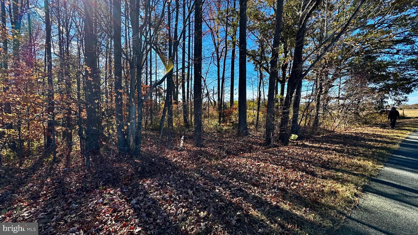 ZACATA RD, MONTROSS, Virginia 22520, ,Land,For sale,ZACATA RD,VAWE2007750 MLS # VAWE2007750 ZACATA RD, MONTROSS, Virginia 22520, ,Land,For sale,ZACATA RD,VAWE2007750 MLS # VAWE2007750