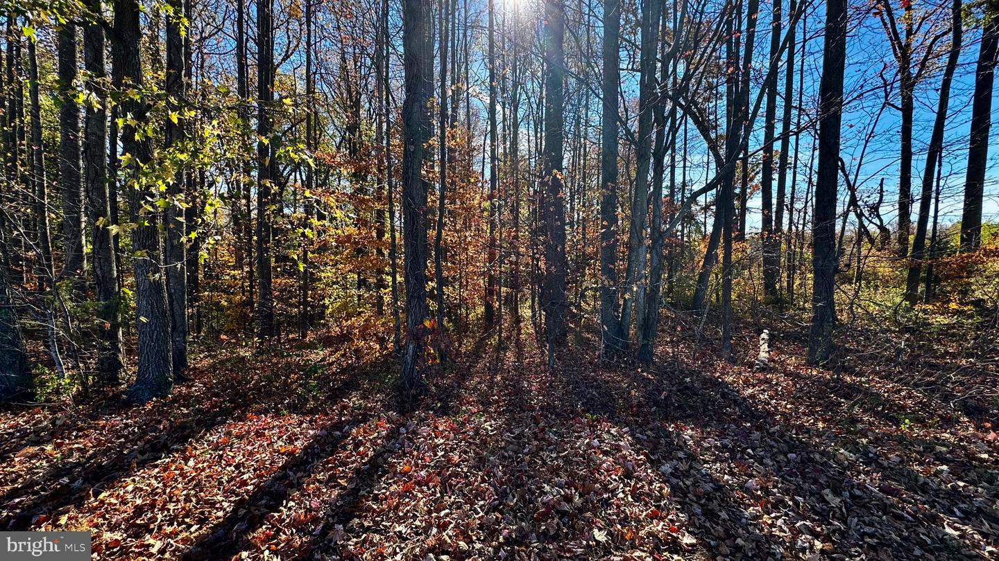 ZACATA RD, MONTROSS, Virginia 22520, ,Land,For sale,ZACATA RD,VAWE2007750 MLS # VAWE2007750 ZACATA RD, MONTROSS, Virginia 22520, ,Land,For sale,ZACATA RD,VAWE2007750 MLS # VAWE2007750