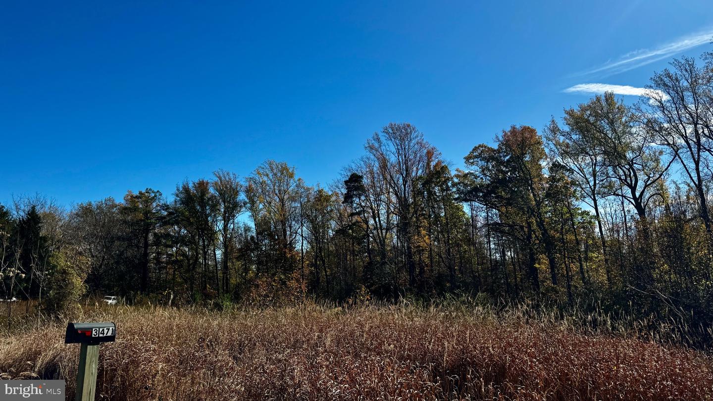 ZACATA RD, MONTROSS, Virginia 22520, ,Land,For sale,ZACATA RD,VAWE2007750 MLS # VAWE2007750 ZACATA RD, MONTROSS, Virginia 22520, ,Land,For sale,ZACATA RD,VAWE2007750 MLS # VAWE2007750