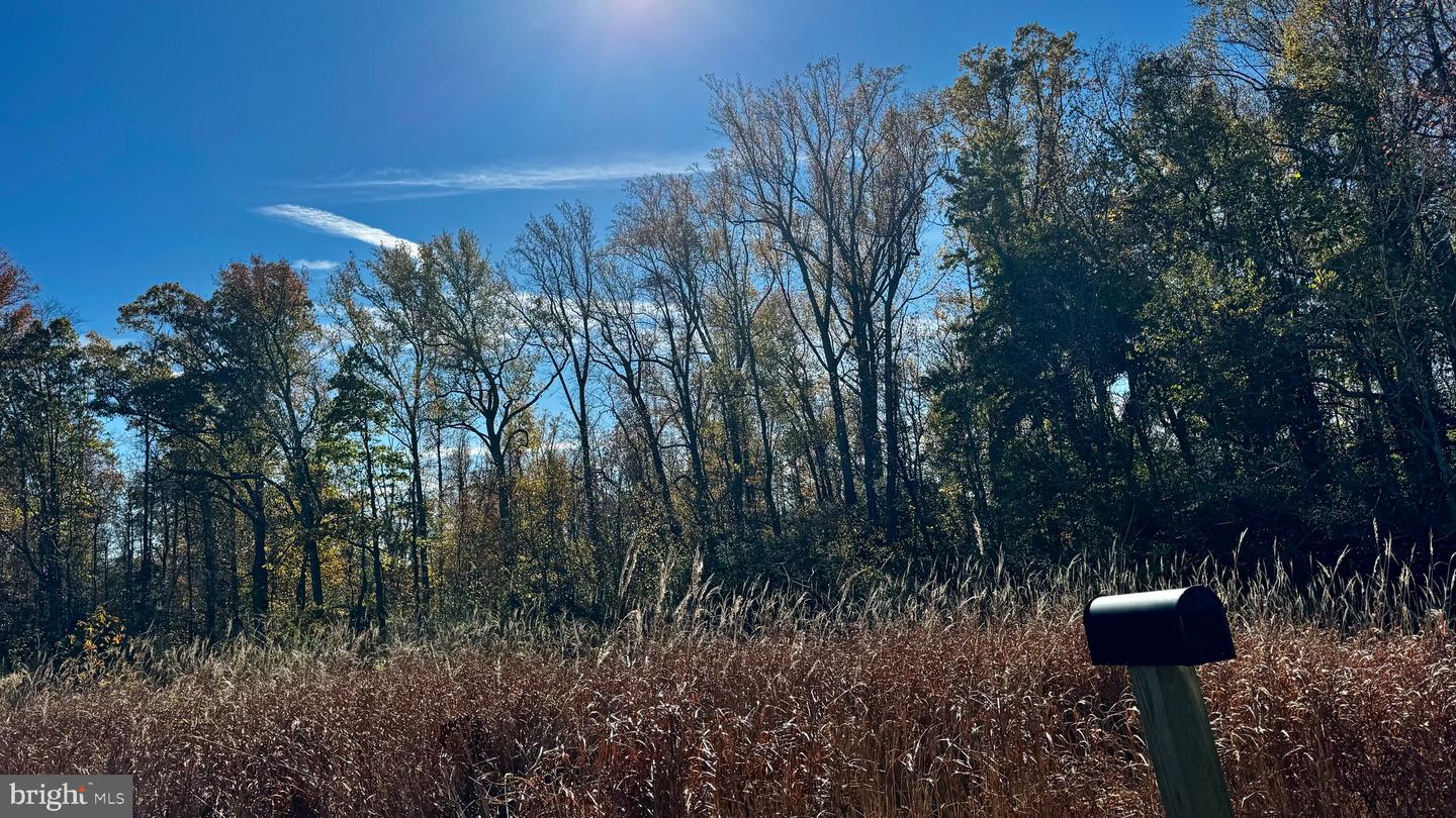 ZACATA RD, MONTROSS, Virginia 22520, ,Land,For sale,ZACATA RD,VAWE2007750 MLS # VAWE2007750 ZACATA RD, MONTROSS, Virginia 22520, ,Land,For sale,ZACATA RD,VAWE2007750 MLS # VAWE2007750