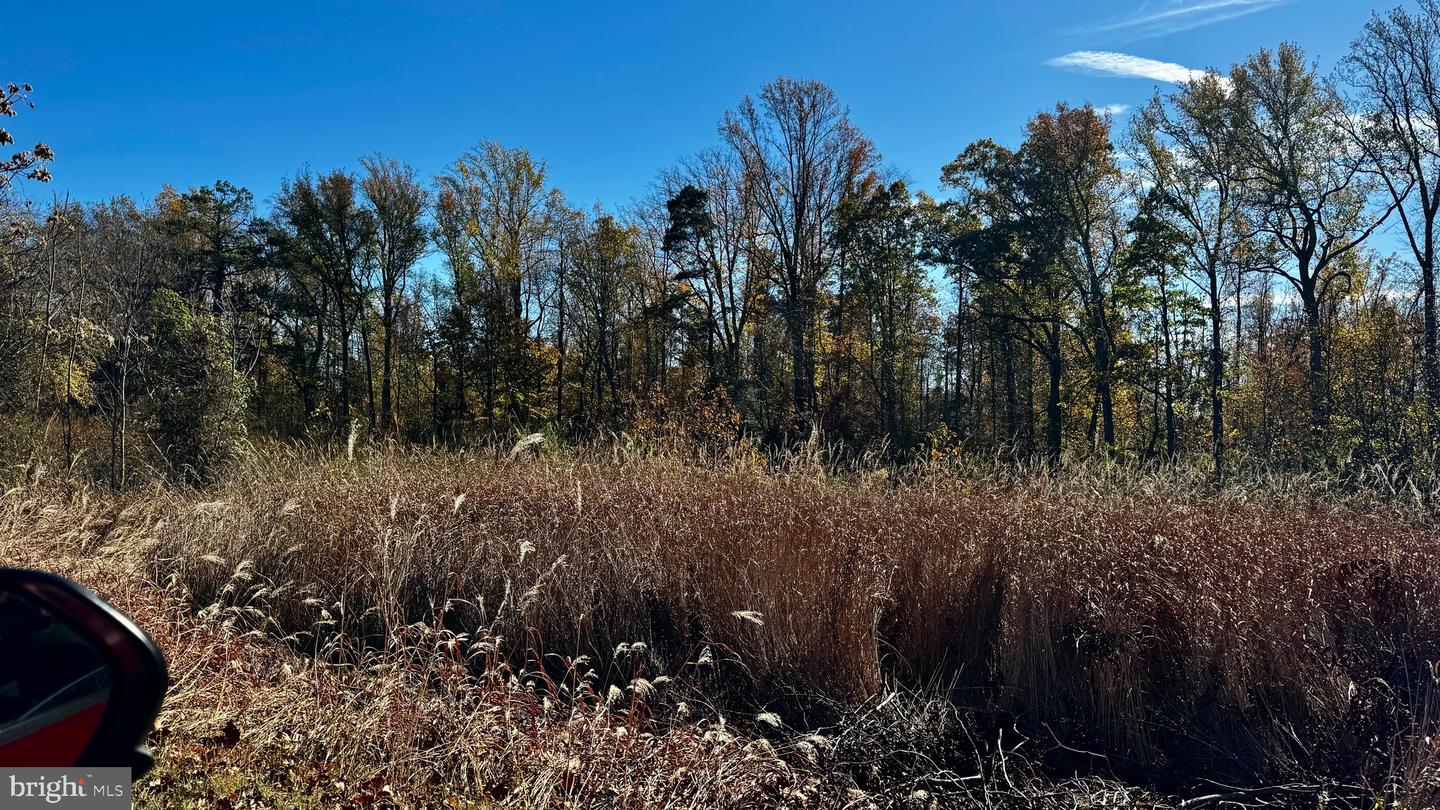 ZACATA RD, MONTROSS, Virginia 22520, ,Land,For sale,ZACATA RD,VAWE2007750 MLS # VAWE2007750 ZACATA RD, MONTROSS, Virginia 22520, ,Land,For sale,ZACATA RD,VAWE2007750 MLS # VAWE2007750