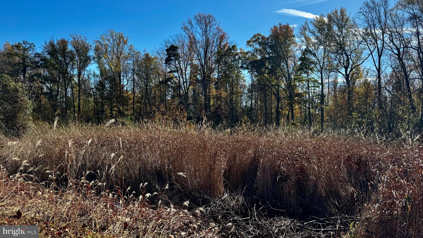 ZACATA RD, MONTROSS, Virginia 22520, ,Land,For sale,ZACATA RD,VAWE2007750 MLS # VAWE2007750 ZACATA RD, MONTROSS, Virginia 22520, ,Land,For sale,ZACATA RD,VAWE2007750 MLS # VAWE2007750