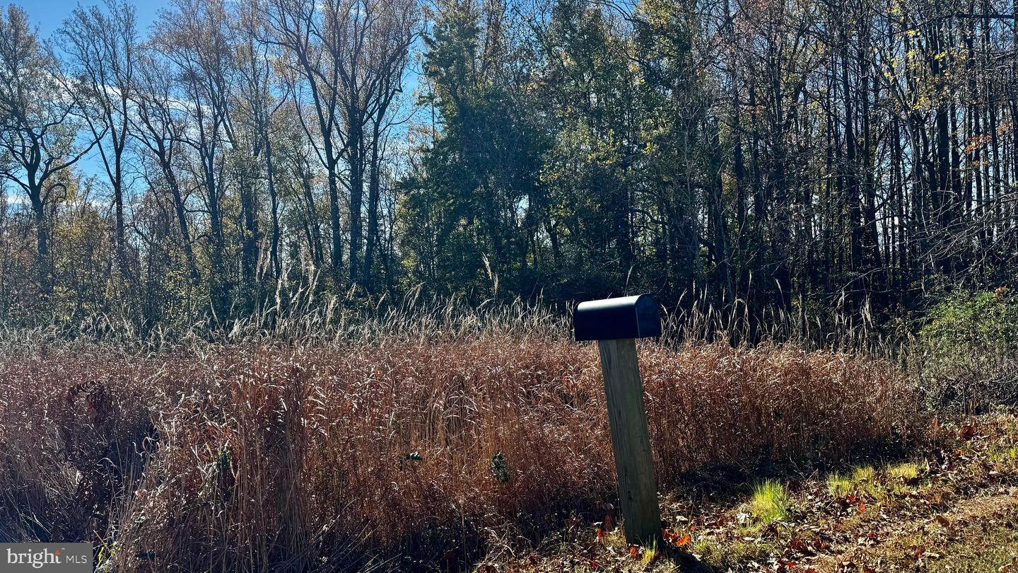 ZACATA RD, MONTROSS, Virginia 22520, ,Land,For sale,ZACATA RD,VAWE2007750 MLS # VAWE2007750 ZACATA RD, MONTROSS, Virginia 22520, ,Land,For sale,ZACATA RD,VAWE2007750 MLS # VAWE2007750