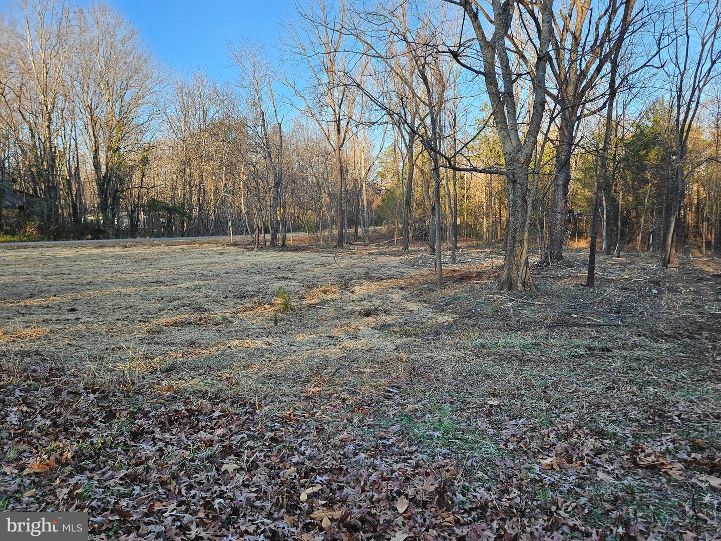 0 PHYSIC SPRING RD, DILLWYN, Virginia 23936, ,Land,For sale,0 PHYSIC SPRING RD,VABH2000248 MLS # VABH2000248 0 PHYSIC SPRING RD, DILLWYN, Virginia 23936, ,Land,For sale,0 PHYSIC SPRING RD,VABH2000248 MLS # VABH2000248