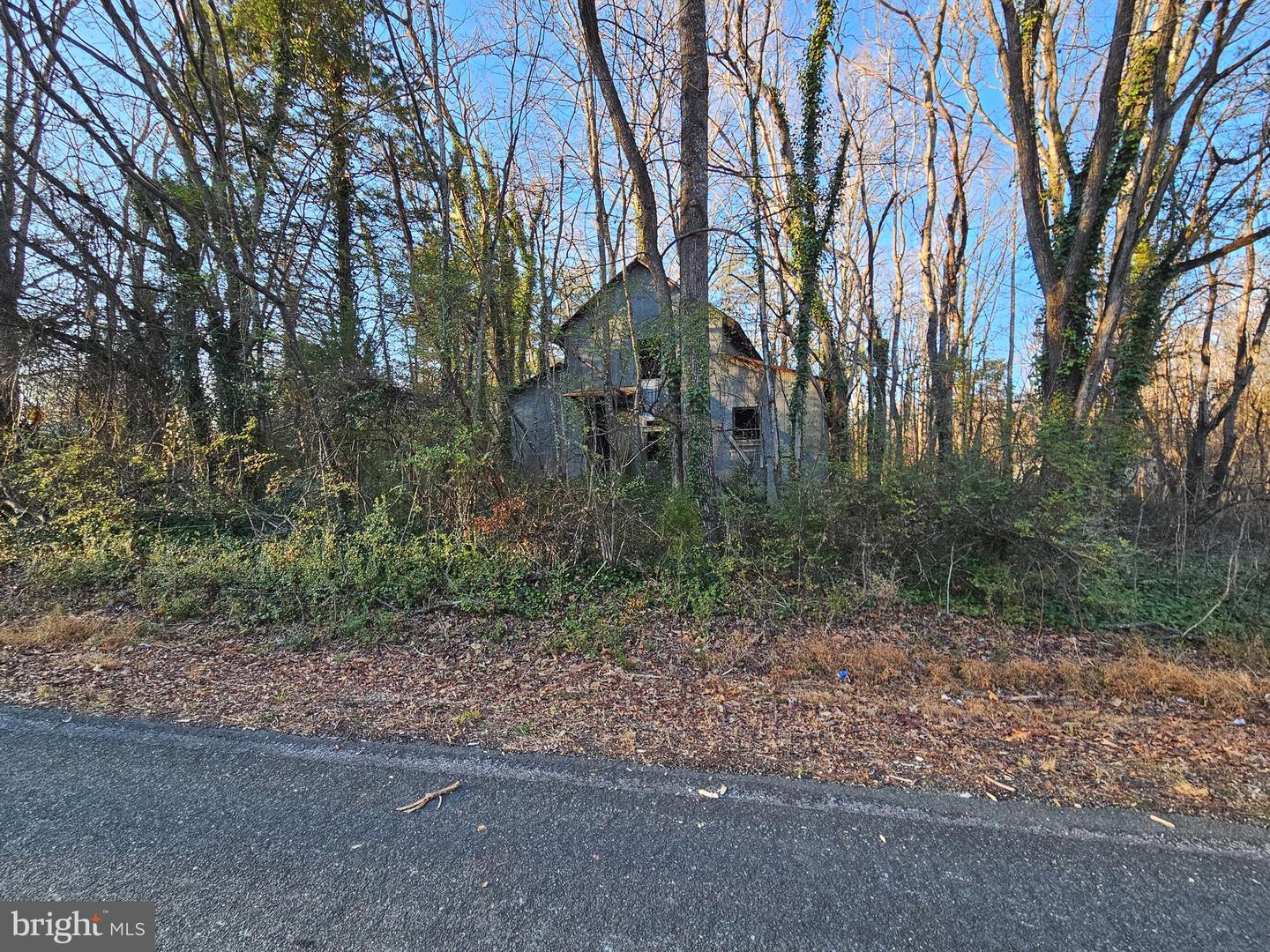 0 PHYSIC SPRING RD, DILLWYN, Virginia 23936, ,Land,For sale,0 PHYSIC SPRING RD,VABH2000248 MLS # VABH2000248 0 PHYSIC SPRING RD, DILLWYN, Virginia 23936, ,Land,For sale,0 PHYSIC SPRING RD,VABH2000248 MLS # VABH2000248