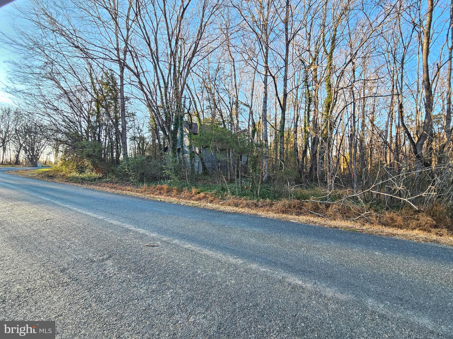 0 PHYSIC SPRING RD, DILLWYN, Virginia 23936, ,Land,For sale,0 PHYSIC SPRING RD,VABH2000248 MLS # VABH2000248 0 PHYSIC SPRING RD, DILLWYN, Virginia 23936, ,Land,For sale,0 PHYSIC SPRING RD,VABH2000248 MLS # VABH2000248
