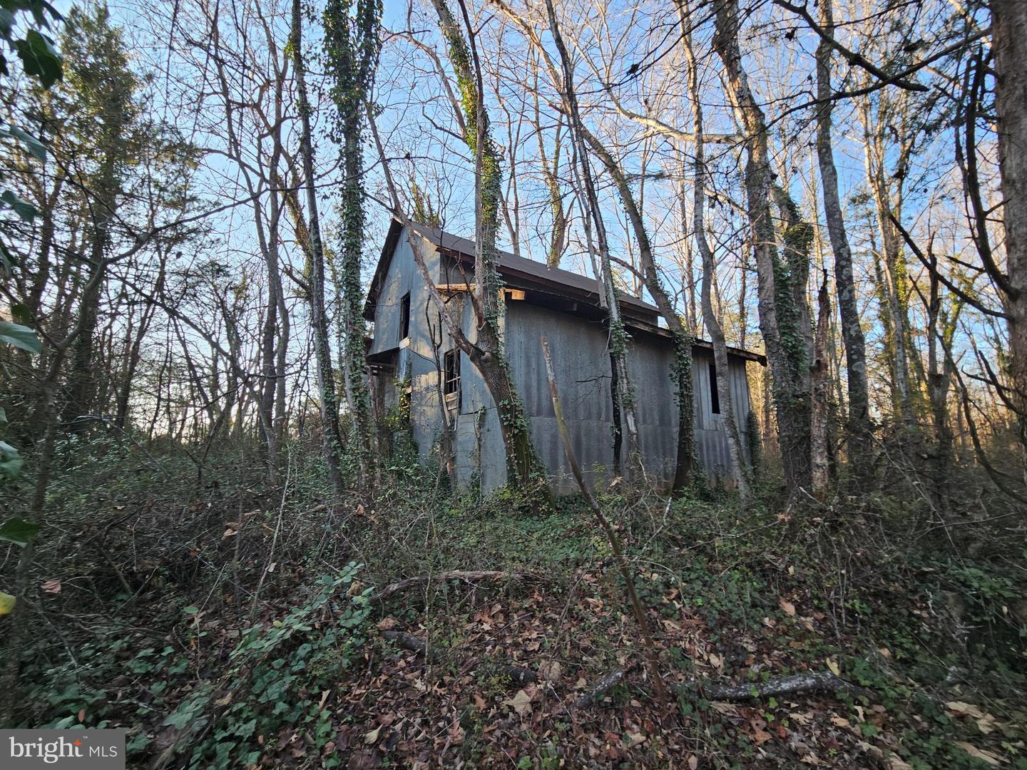 0 PHYSIC SPRING RD, DILLWYN, Virginia 23936, ,Land,For sale,0 PHYSIC SPRING RD,VABH2000248 MLS # VABH2000248 0 PHYSIC SPRING RD, DILLWYN, Virginia 23936, ,Land,For sale,0 PHYSIC SPRING RD,VABH2000248 MLS # VABH2000248