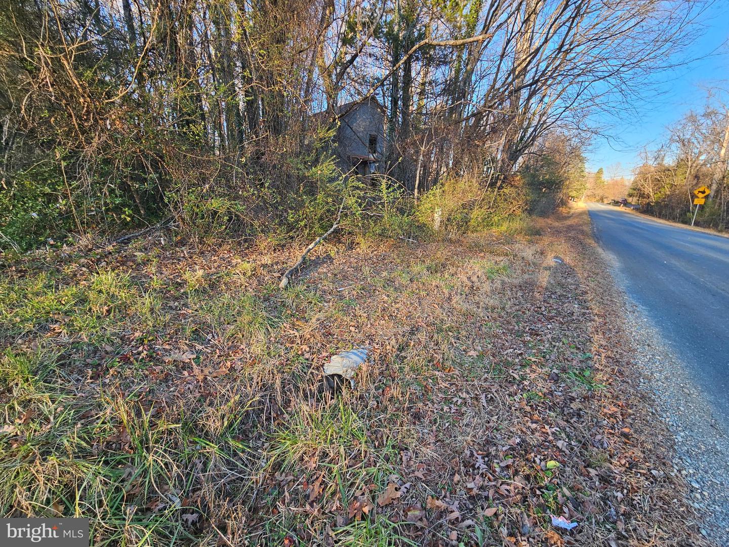 0 PHYSIC SPRING RD, DILLWYN, Virginia 23936, ,Land,For sale,0 PHYSIC SPRING RD,VABH2000248 MLS # VABH2000248 0 PHYSIC SPRING RD, DILLWYN, Virginia 23936, ,Land,For sale,0 PHYSIC SPRING RD,VABH2000248 MLS # VABH2000248